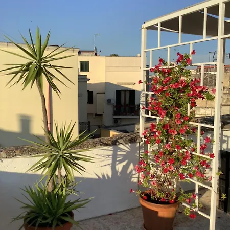 Bed and Breakfast Palazzo Cariddi 4*